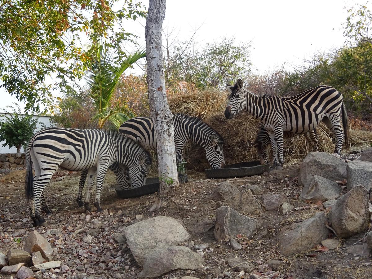 Lake Kariba Inns スィアボンガ エクステリア 写真